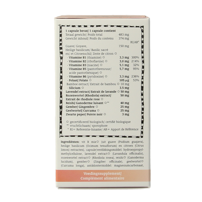 Royal Green Vitamine B complex bio 60 Vegetarische capsules