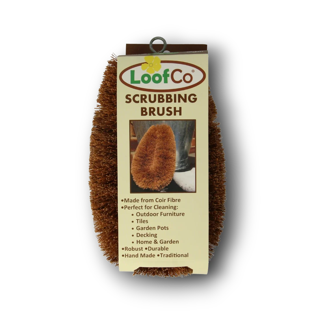Loofco Schuurborstel kokos bio 1.00 Stuks