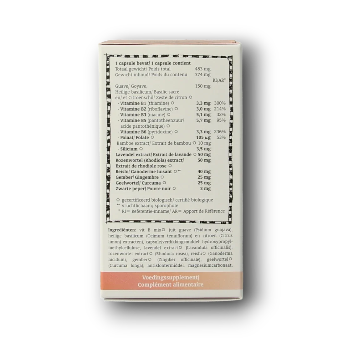 Royal Green Vitamine B complex bio 60.00 Vegetarische capsules