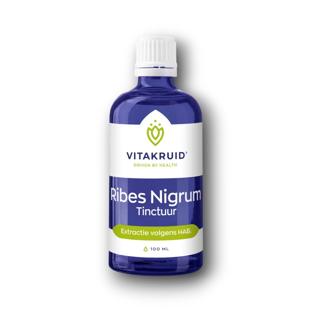 Vitakruid Ribes Nigrum Zwarte bes tinctuur 1:10 100 Milliliter
