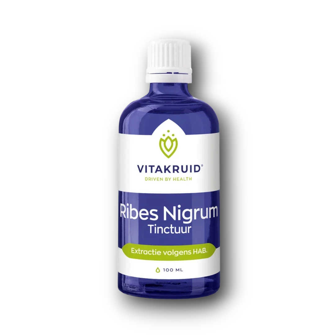 Vitakruid Ribes Nigrum Zwarte bes tinctuur 1:10 100 Milliliter