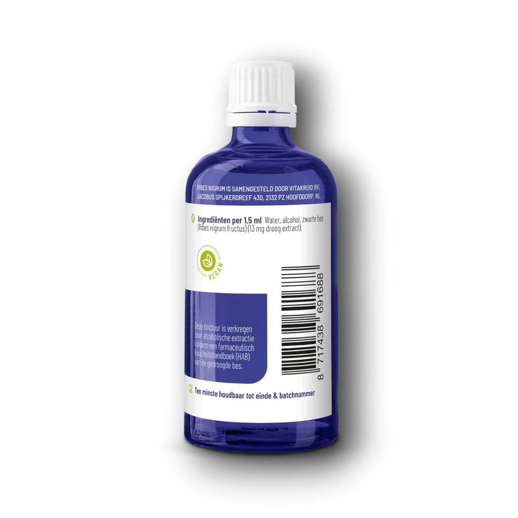 Vitakruid Ribes Nigrum Zwarte bes tinctuur 1:10 100 Milliliter