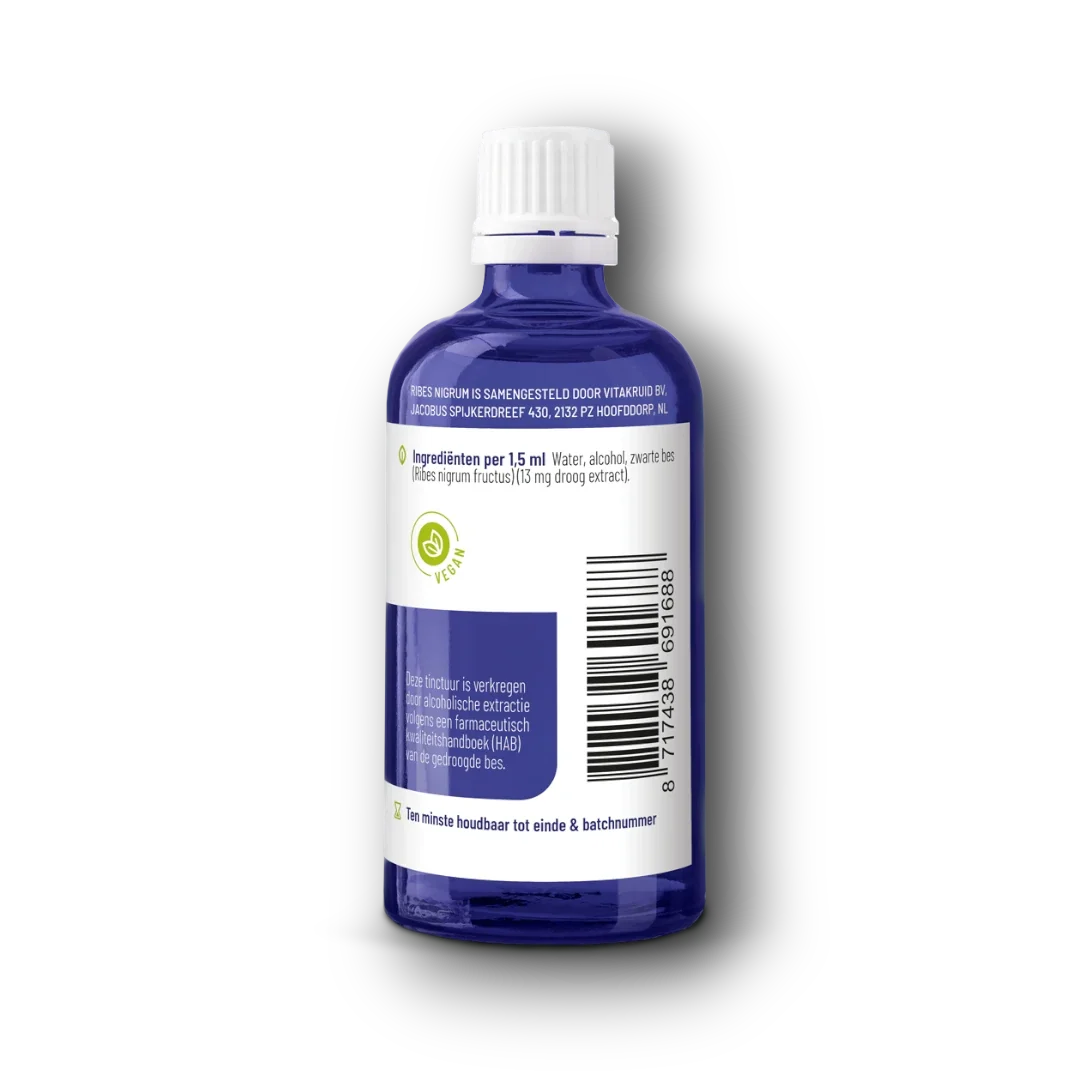 Vitakruid Ribes Nigrum Zwarte bes tinctuur 1:10 100 Milliliter