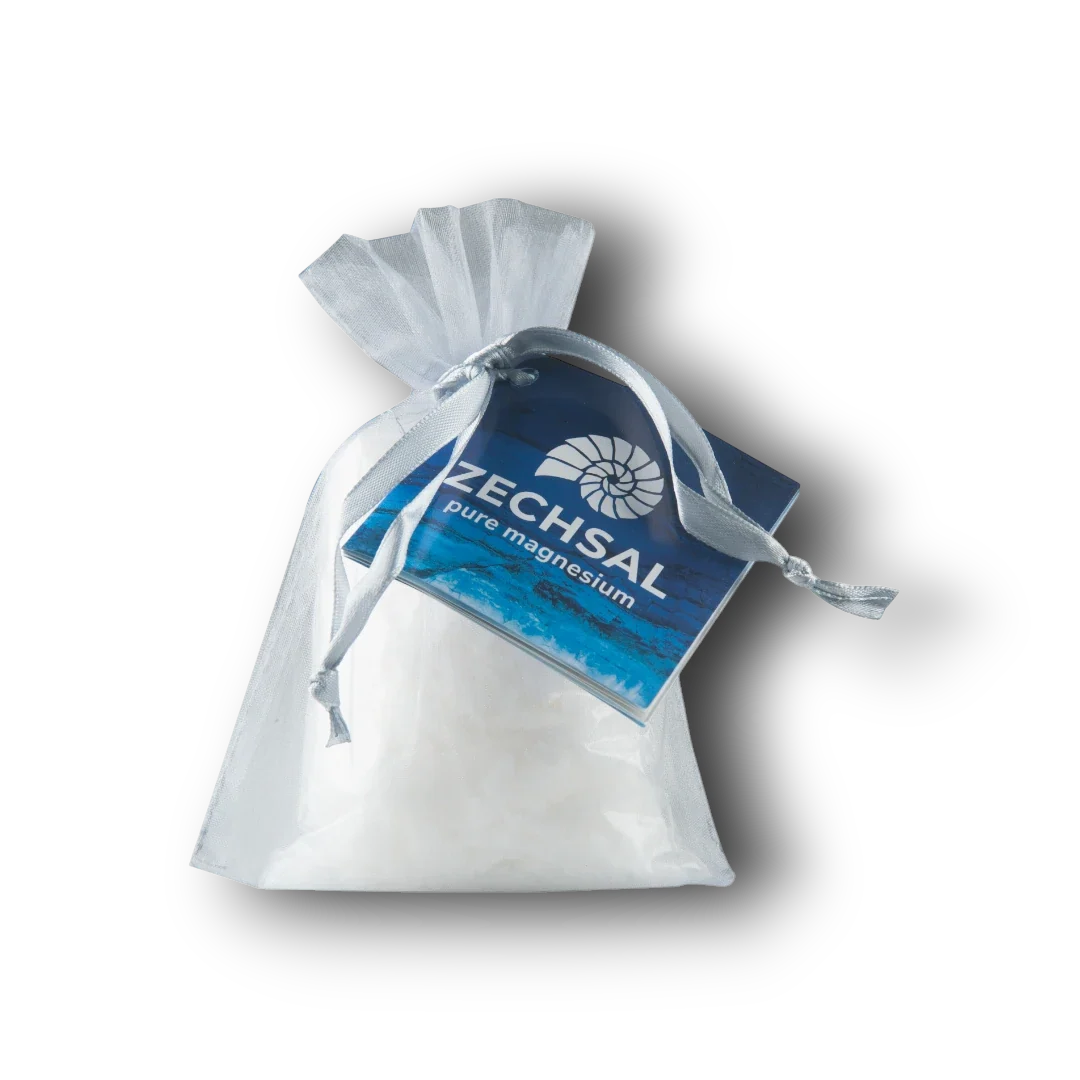 Zechsal Geschenkzakje 1.00 Stuks